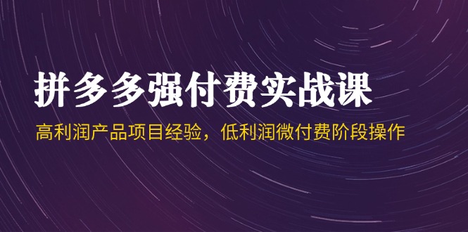 拼多多强付费实战课-44期，高利润产品项目经验，低利润微付费阶段操作-微众资源