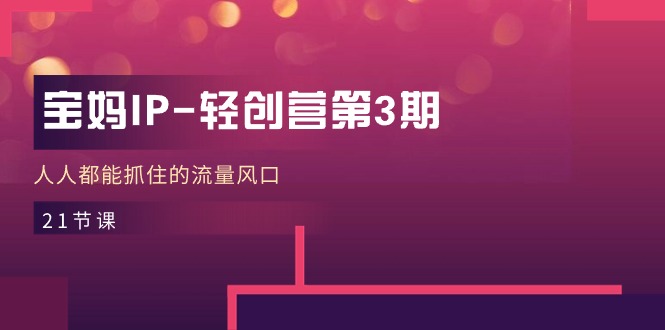 宝妈IP-轻创营第3期，人人都能抓住的流量风口（21节课）-微众资源