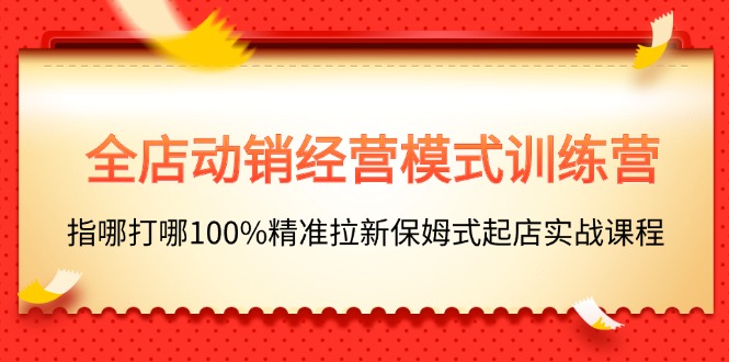 全店动销-经营模式训练营，指哪打哪100%精准拉新保姆式起店实战课程-微众资源