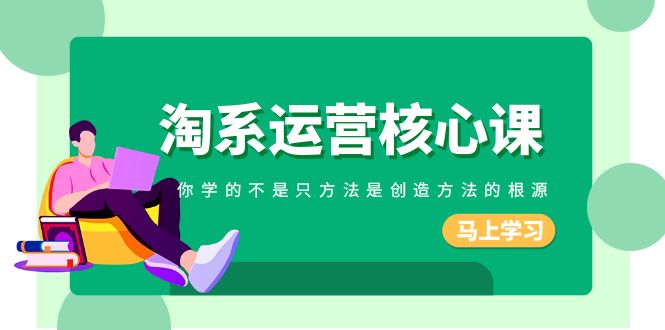 淘系-运营核心课，你学的不是只方法是创造方法的根源（190节课）-微众资源