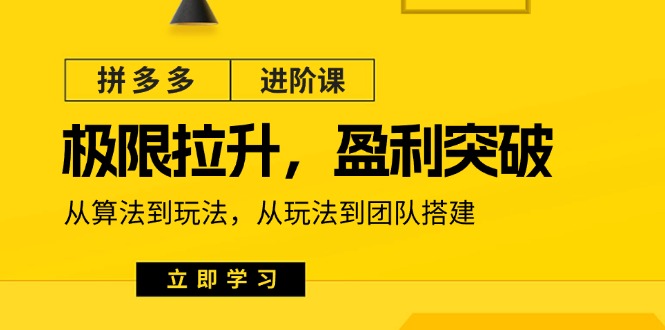 拼多多·进阶课：极限拉升/盈利突破：从算法到玩法 从玩法到团队搭建-18节-微众资源