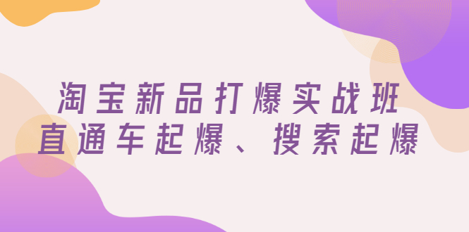淘宝新品打爆实战班，直通车起爆、搜索起爆（价值599元）-微众资源