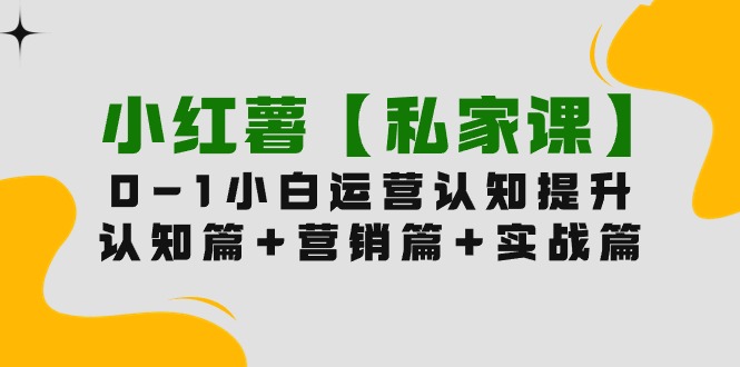 小红薯【私家课】0-1玩赚小红书内容营销，认知篇+营销篇+实战篇（11节课）-微众资源