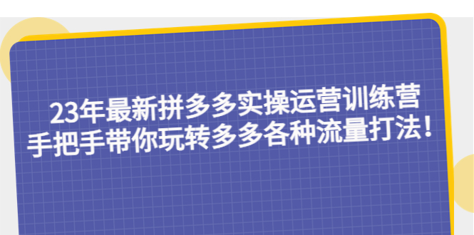 23年最新拼多多实操运营训练营：手把手带你玩转多多各种流量打法！-微众资源