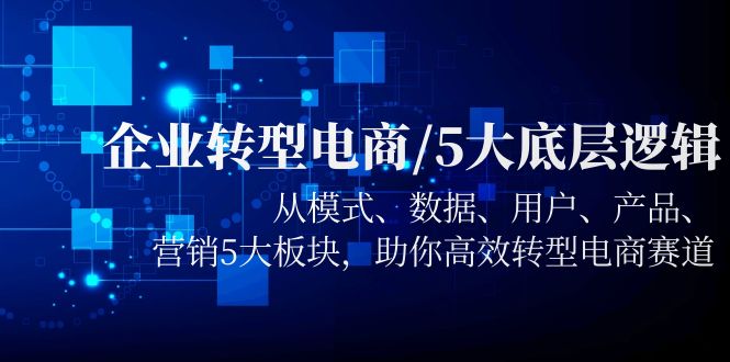 企业转型电商/5大底层逻辑，从模式 数据 用户 产品 营销5大板块，高效转型-微众资源