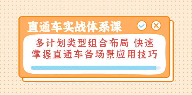 直通车实战体系课：多计划类型组合布局 快速掌握直通车各场景应用技巧-微众资源