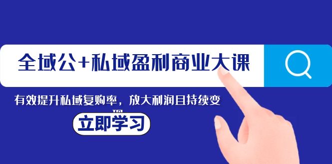 全域公+私域盈利商业大课，有效提升私域复购率，放大利润且持续变现-微众资源