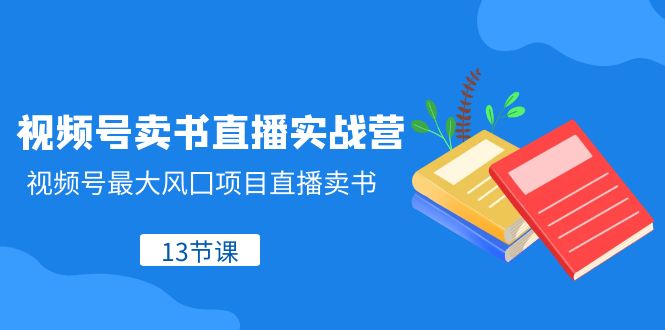 视频号-卖书直播实战营，视频号最大风囗项目直播卖书（13节课）-微众资源