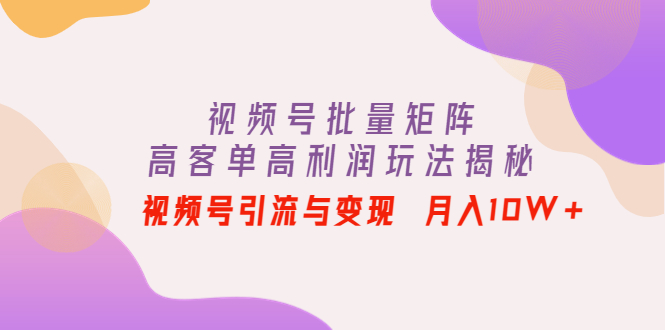 视频号批量矩阵的高客单高利润玩法揭秘： 视频号引流与变现 月入10W+-微众资源