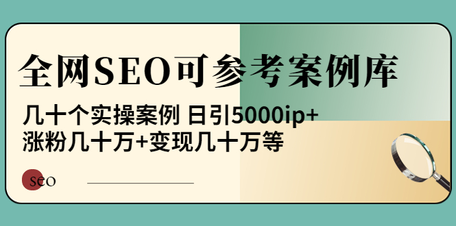《全网SEO可参考案例库》几十个实操案例 日引5000ip+涨粉百W+变现几十W等!-微众资源