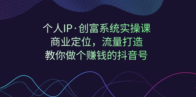 个人IP·创富系统实操课：商业定位，流量打造，教你做个赚钱的抖音号-微众资源