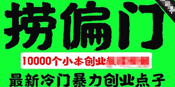 千款捞偏门小本创业小项目，总有一款适合你【无水印】-微众资源