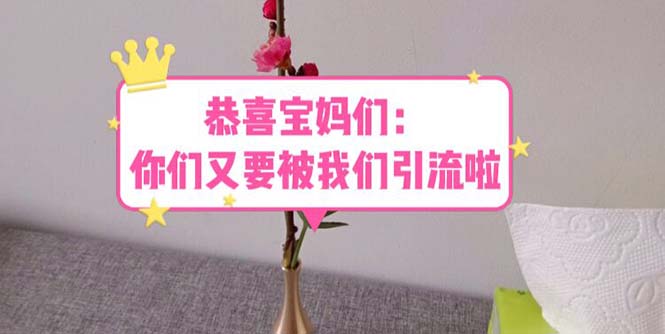 恭喜宝妈们：你们又要被我们引流了（教程+222g资料）-微众资源