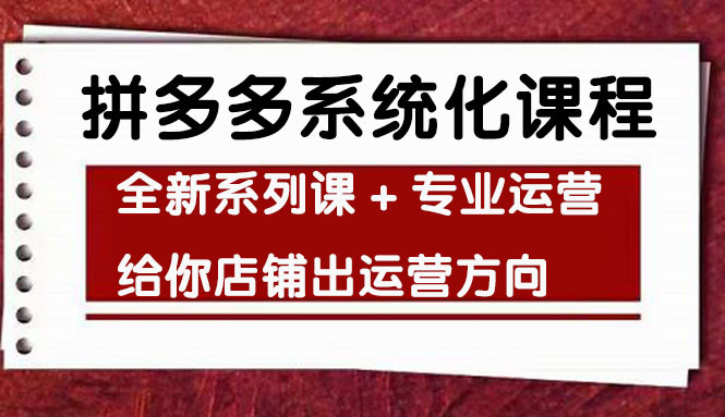 车神陪跑，拼多多系统化课程，全新系列课+专业运营给你店铺出运营方向-微众资源