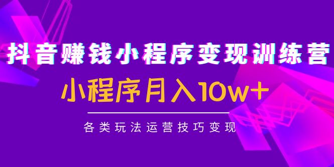 抖音赚钱小程序变现训练营：小程序月入10w+各类玩法运营技巧变现-微众资源