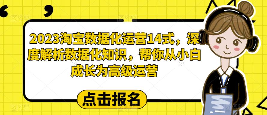 2023淘宝数据化-运营 14式，深度解析数据化知识，帮你从小白成长为高级运营-微众资源