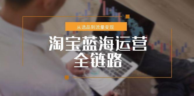 淘宝蓝海运营全链路，从选品到流量变现，小类目突围完整方案-微众资源