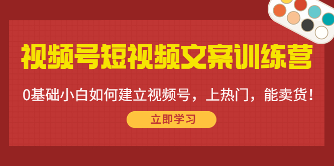 视频号短视频文案训练营：0基础小白如何建立视频号，上热门，能卖货！-微众资源