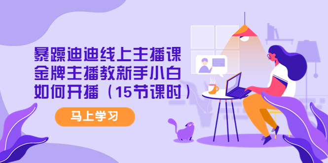 暴躁迪迪线上主播课，金牌主播教新手小白如何开播（15节课时）-微众资源