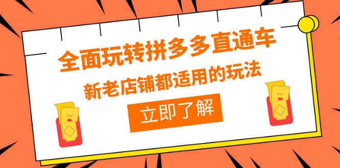 全面玩转拼多多直通车，新老店铺都适用的玩法（12节精华课）-微众资源