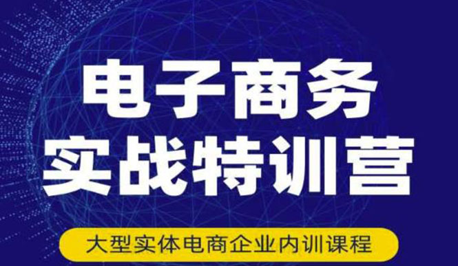 电子商务实战特训营，全方位带你入门电商，308种方式玩转电商-微众资源