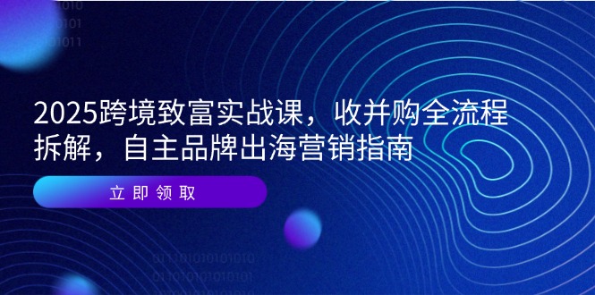 2025跨境致富实战课，收并购全流程拆解，自主品牌出海营销指南-微众资源