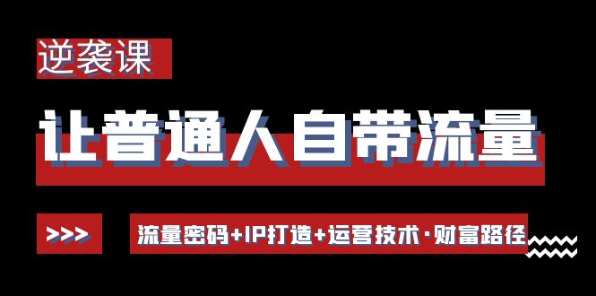 让普通人自带流量的逆袭课：流量密码+IP打造+运营技术·财富路径-微众资源