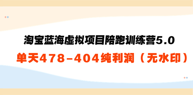 黄岛主：淘宝蓝海虚拟项目陪跑训练营5.0：单天478纯利润（无水印）-微众资源