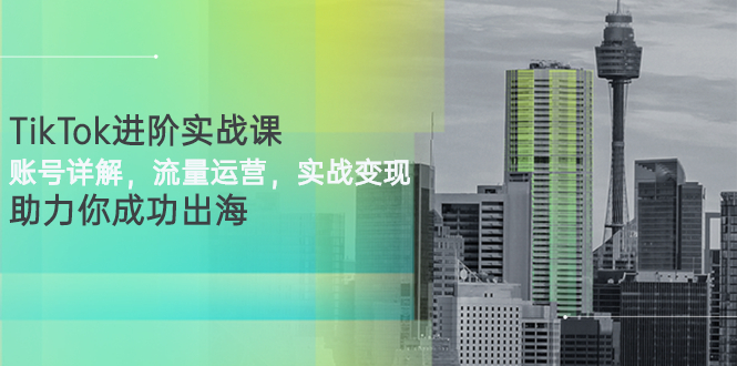 TikTok进阶实战课：账号详解，流量运营，实战变现，助力你成功出海-微众资源