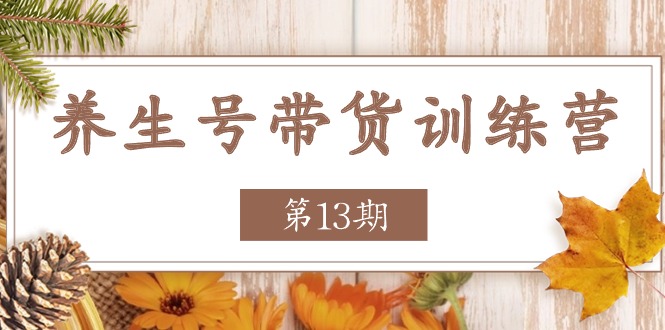 养生号-带货训练营【第13期】收益更稳定的玩法，让你带货收益爆炸-微众资源