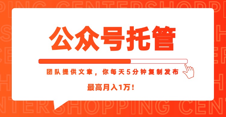 【公众号托管 】我提供文章，你每天５分钟复制发布，最高月入1W-微众资源