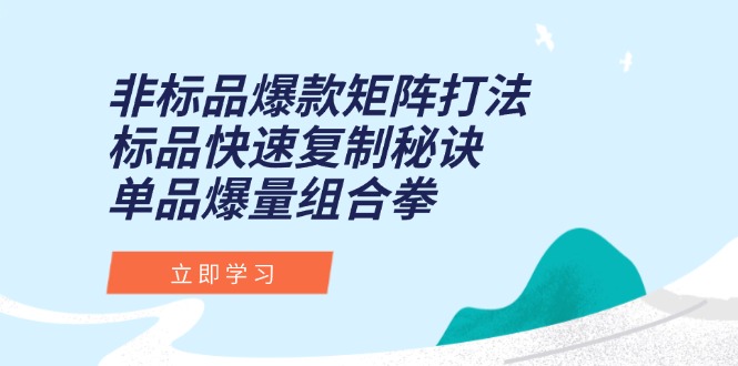 非标品爆款矩阵打法，标品快速复制秘诀，单品爆量组合拳-微众资源