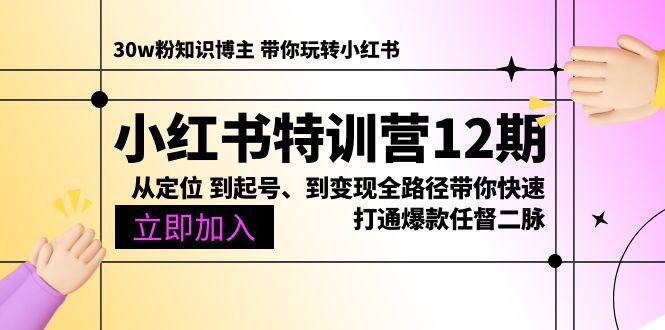 小红书特训营12期：从定位 到起号、到变现全路径带你快速打通爆款任督二脉-微众资源