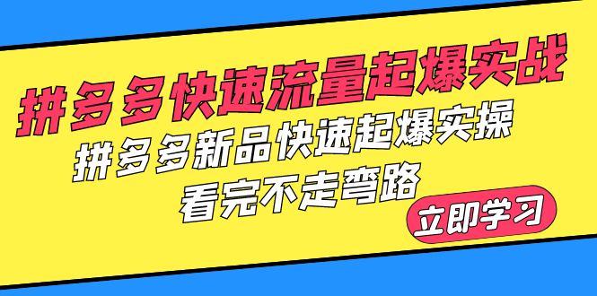 拼多多-快速流量起爆实战，拼多多新品快速起爆实操，看完不走弯路-微众资源