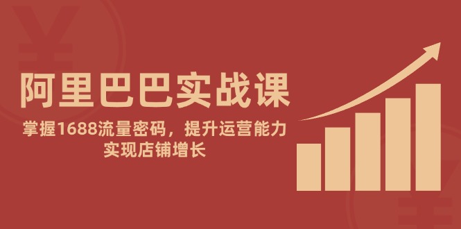 阿里巴巴实战课：掌握1688流量密码，提升运营能力，实现店铺增长-微众资源