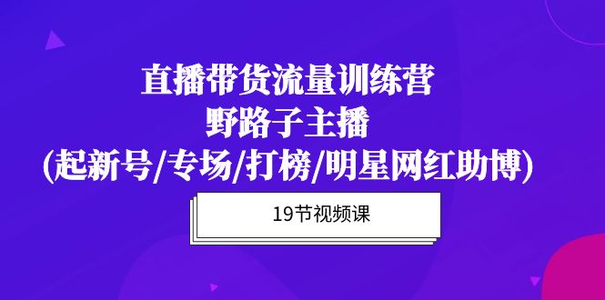 直播带货流量特训营，野路子主播(起新号/专场/打榜/明星网红助博)19节课-微众资源