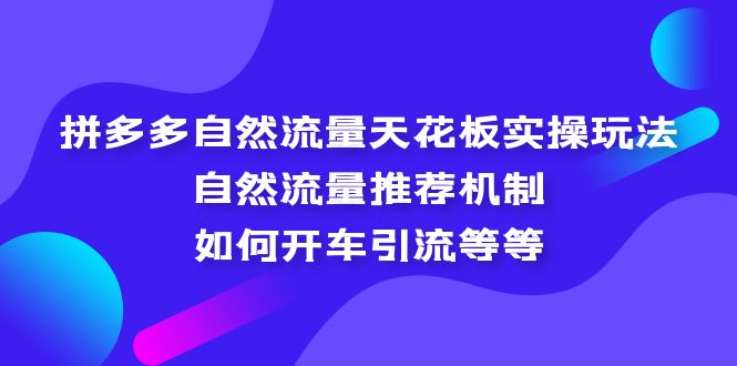拼多多自然流量天花板实操玩法：自然流量推荐机制，如何开车引流等等-微众资源