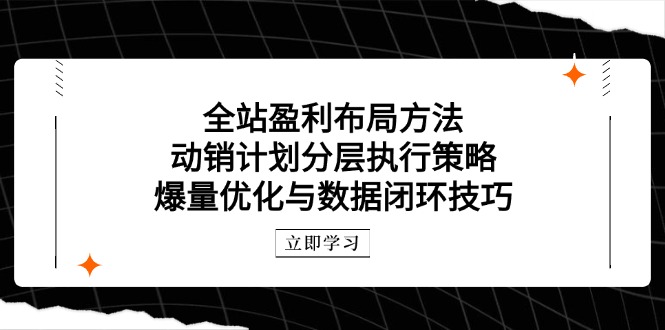 全站盈利布局方法：动销计划分层执行策略，爆量优化与数据闭环技巧-微众资源