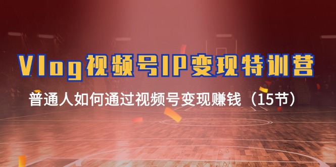 Vlog 视频号IP变现特训营，普通人如何通过视频号变现赚钱（15节）-微众资源
