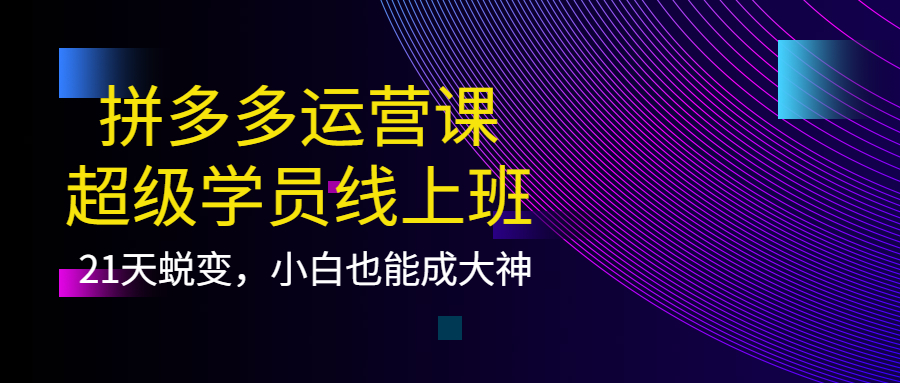 拼多多运营课：超级学员线上班，21天蜕变，小白也能成大神-微众资源