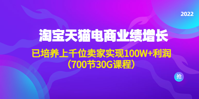 淘系天猫电商业绩增长：已培养上千位卖家实现100W+利润（700节30G课程）-微众资源