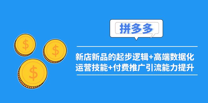 2022拼多多：新店新品的起步逻辑+高端数据化运营技能+付费推广引流能力提升-微众资源