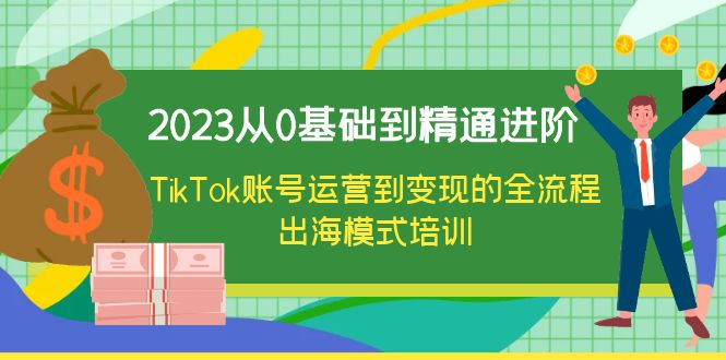 2023从0基础到精通进阶，TikTok账号运营到变现的全流程出海模式培训-微众资源