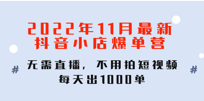 2022年11月最新抖音小店爆单训练营：无需直播，不用拍短视频，每天出1000单-微众资源