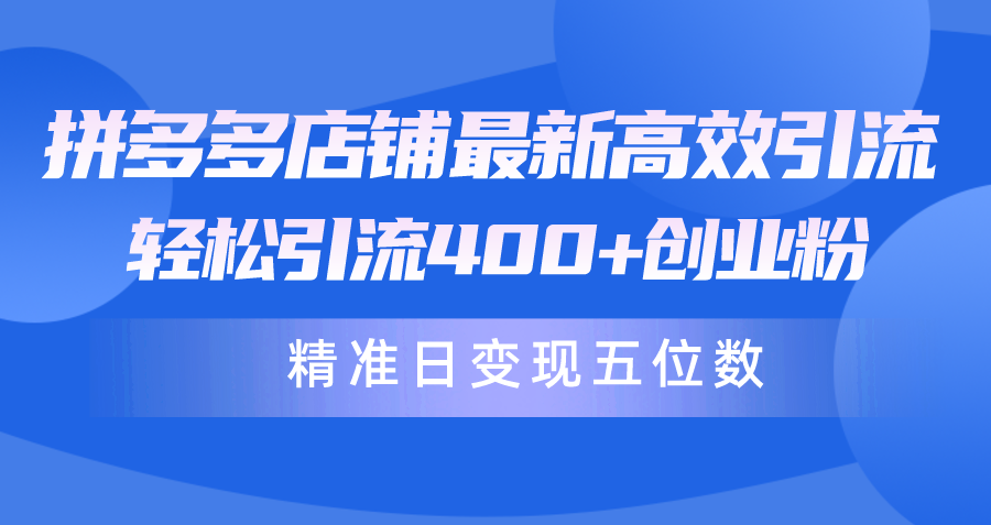 拼多多店铺最新高效引流术，轻松引流400+创业粉，精准日变现五位数！-微众资源