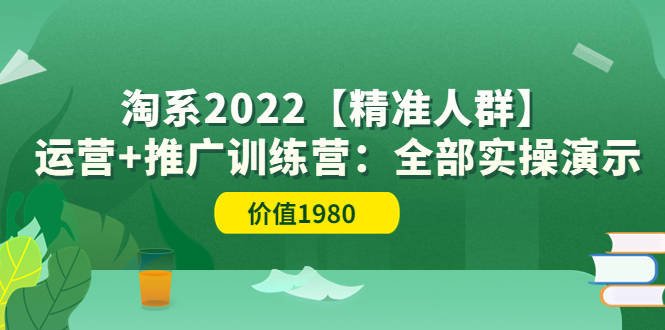 淘系2022【精准人群】运营+推广训练营：全部实操演示-微众资源