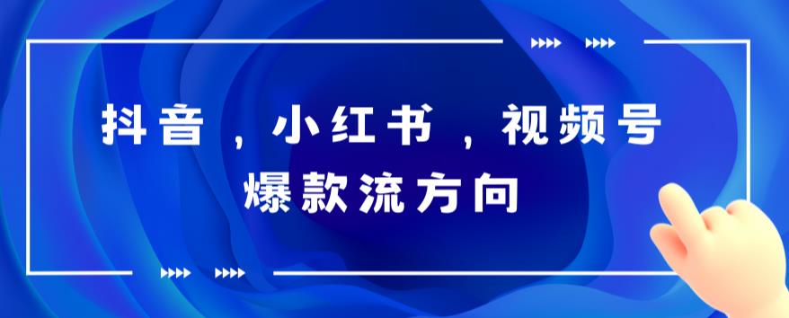 抖音，小红书，视频号爆款流视频制作，简单制作掌握流量密码-微众资源