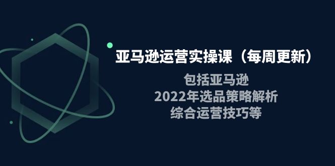 亚马逊运营实操课（每周更新）包括亚马逊2022选品策略解析，综合运营技巧等-微众资源