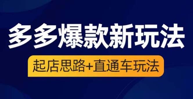 2023拼多多爆款·新玩法：起店思路+直通车玩法（3节精华课）-微众资源