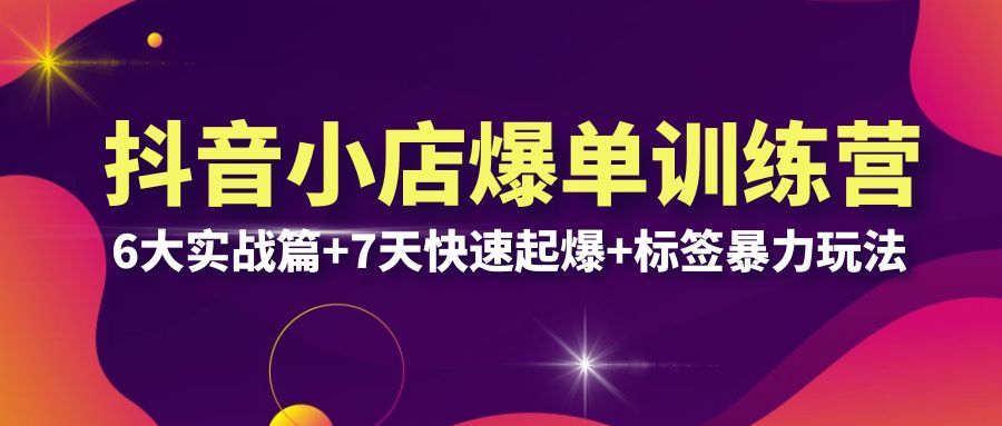 抖音小店爆单训练营VIP线下课：6大实战篇+7天快速起爆+标签暴力玩法(32节)-微众资源
